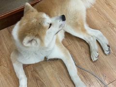 -YCHL Studios健身工作室(市二宫店)