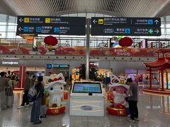 -广州白云国际机场-T2航站楼