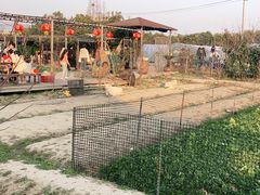 -小鱼草莓采摘园农家乐·小鱼餐厅