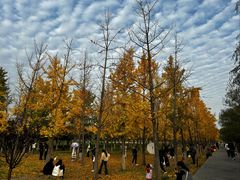 -汉长安城未央宫国家考古遗址公园