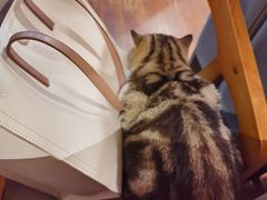 -参差咖啡(水果湖公园店)