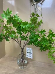 -变美丽半永久纹眉连锁·机器野生眉·洗眉