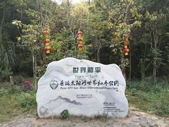 -普洱太阳河森林公园