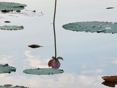 -颐和园
