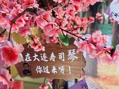 -琴寿司居酒屋(中山广场店)