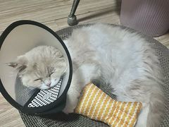 -佳雯宠物医院·皮肤科·内外科(春晓路分院)