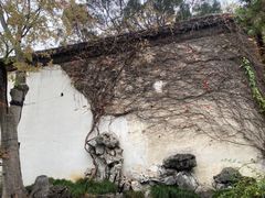 -艺圃