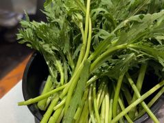 -东来顺饭庄(apm总店)