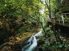 -藏龙百瀑风景区