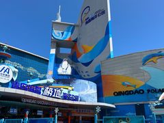 -海合安青岛极地海洋公园