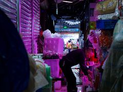 -青石桥花鸟鱼虫市场(叠翠城店)