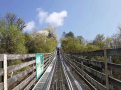 -黄龙山原始森林景区