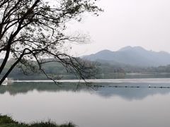 -茅家埠