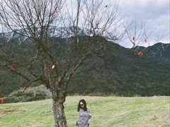 -硗碛藏寨·神木垒景区