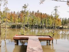 -上海长兴岛郊野公园