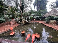 -海南热带野生动植物园