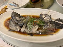 -骏莱海鲜鱼港(五角场店)