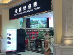 -随州碧桂园凤悦凤凰酒店