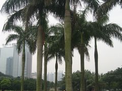 -万绿园