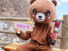 -少华山国家森林公园