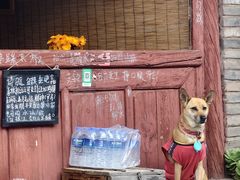 -巍山古城