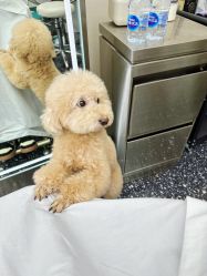 -Hair Co.一间沙龙