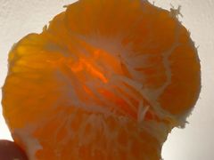 -广百家超市(大东海店)