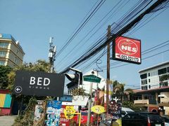 -莓园冰淇淋店