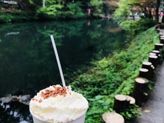 -茶颜悦色(岳麓山顶店)