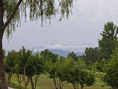 -洨河生态公园