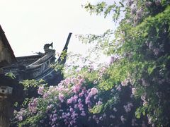 -惠山古镇·寄畅园