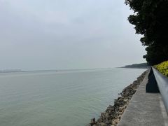 -大湾区中央湿地公园