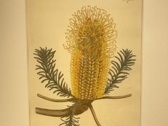 -湖北省美术院美术馆