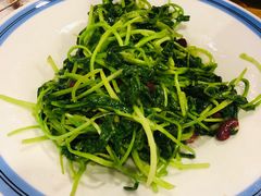-老阿妈蒙古村·蒙古包·草原文化·歌舞表演(老君堂店)