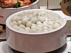 -龍歌自助小火锅(雨花台江南虹悦城店)