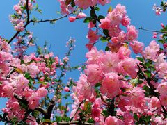 -白塘生态植物园