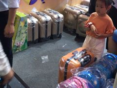 -东浩兰生上海世博展览馆