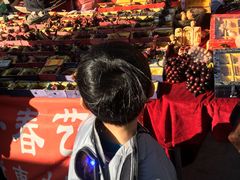 -中环花鸟鱼虫市场