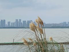 -东湖落雁景区