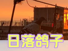 -耀江文鼎苑