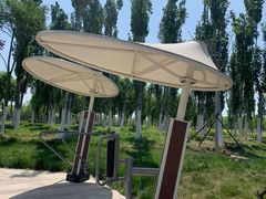 -天津东丽湖风景区