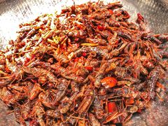 -宁波逸东豪生大酒店·豪生咖啡厅