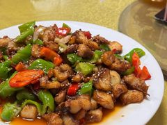 -煲来饱去冷水鱼