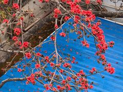 -中山大学附属第三医院(天河院区)