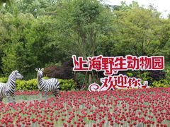 -上海野生动物园