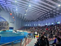 -福州罗源湾海洋世界旅游区