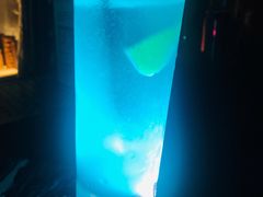 -HUNTING BAR亨霆鸡尾酒馆(越秀淘金店)