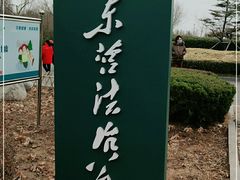 -东营·森林乐园