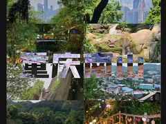 -南山植物园