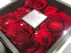 -ROSEONLY诺誓(沈阳万象城店)